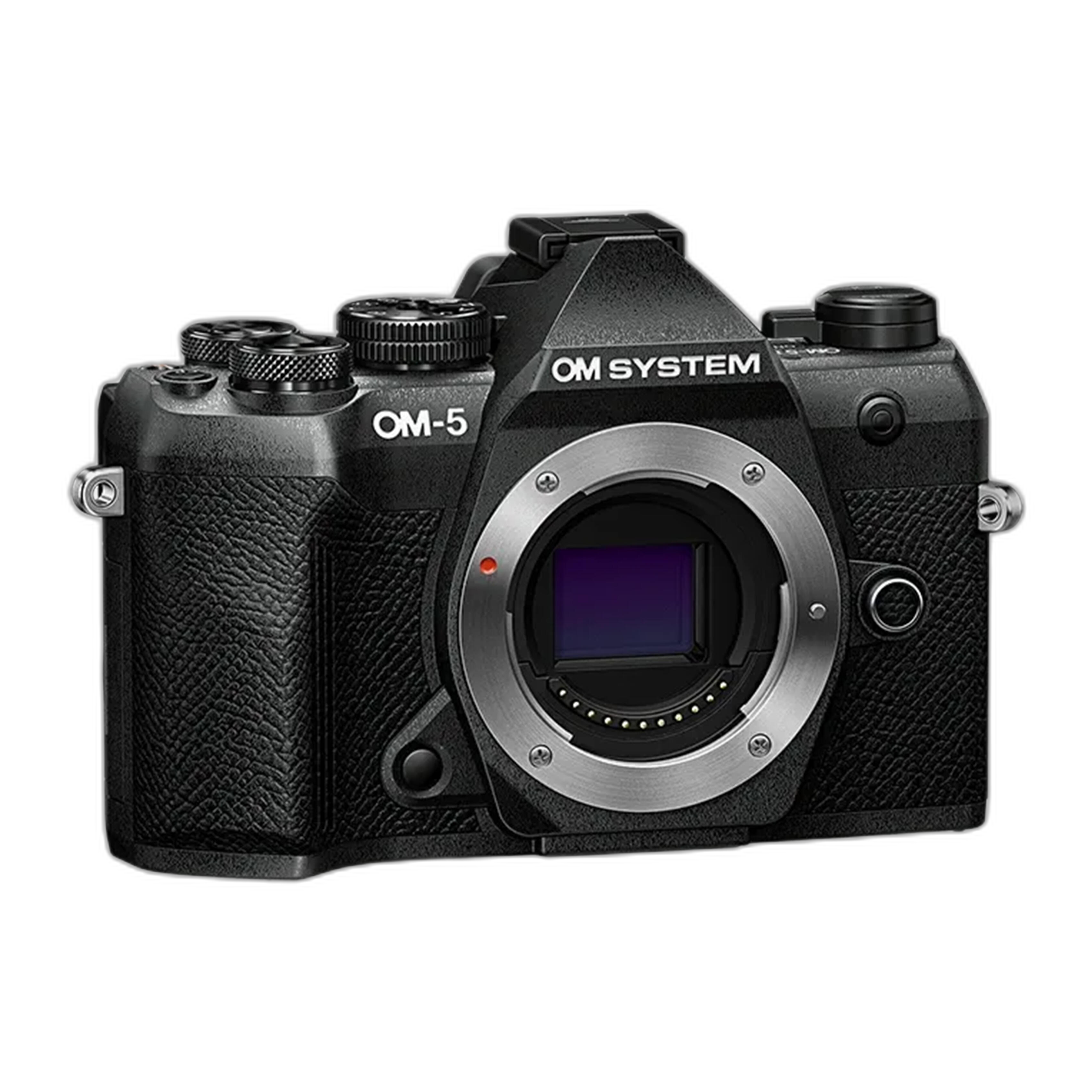 OM SYSTEM OM-5 Mark II rear view