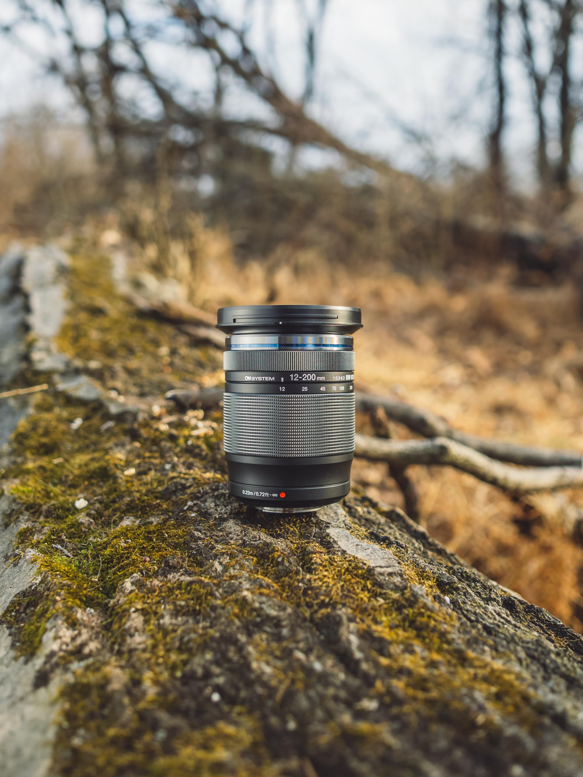 Favorite Lenses Revealed by Sony Lens Compare Beta and Shooting Tips