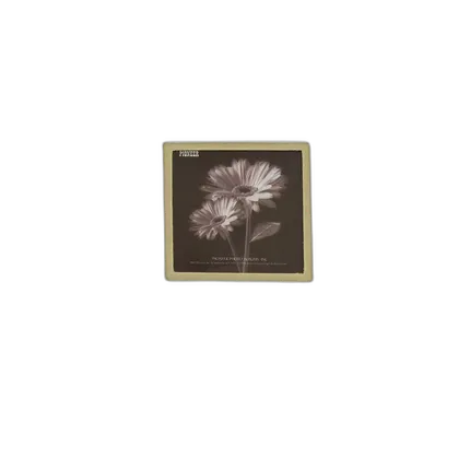 Pioneer 4 x 6 In. Embroidered Scroll Frame Photo Album (200 Photos) - Ivory