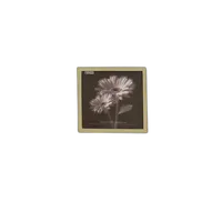 Pioneer 4 x 6 In. Embroidered Scroll Frame Photo Album (200 Photos) - Ivory 0