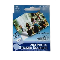 Pioneer Photo Mounts Double Sided Self-Stick Square Tabs (250 Photos) 0