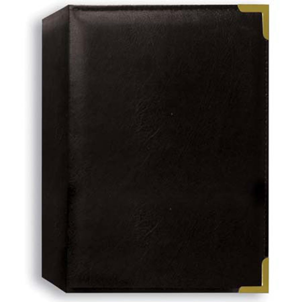 Pioneer photo album for organizing contest prints