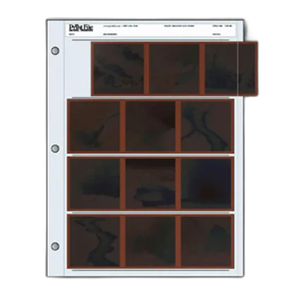 Print File 120-4B (25) Negative Pages