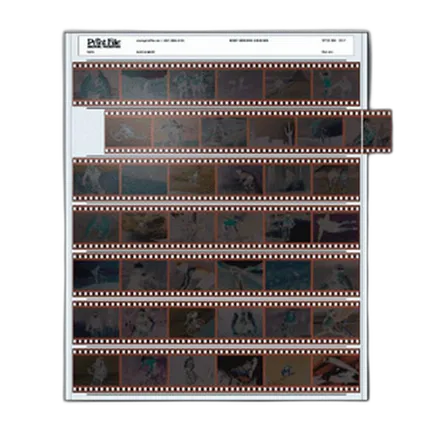 Print File 35-7 (100) Negativge Pages