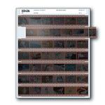Print File 35-7 (100) Negativge Pages