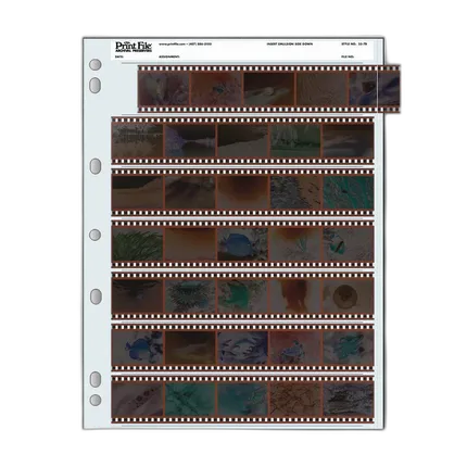 Print File 35-7B (100) Negative Pages
