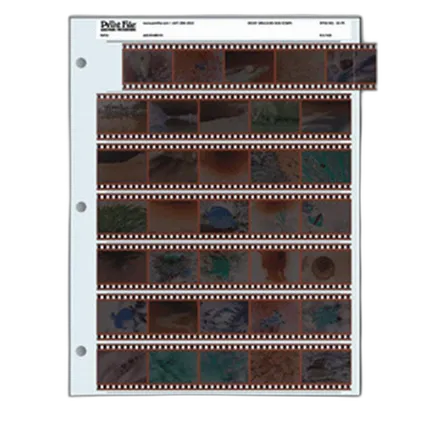 Print File 35-7B (25) Negative Pages