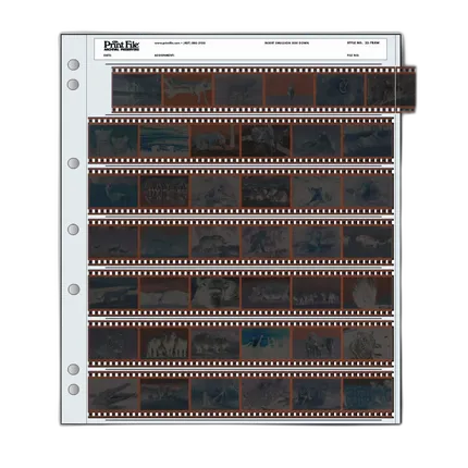 Print File Archival Storage Page for Negatives, 35mm (25 Pack)