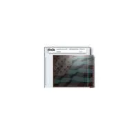 Print File Negative Pocket (4 x 5in, 100 Pack) 0