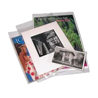 Print File 9X12 (100) 4 Mil Poly Bags 0