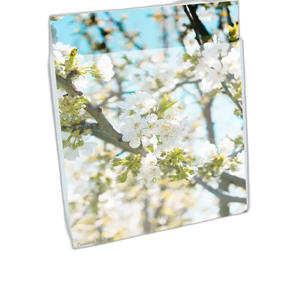 Print File 3.2-Mil BOPP Presentation Pocket (17x22, 100-Pack)