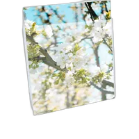 Print File 3.2-Mil BOPP Presentation Pocket (17x22, 100-Pack) 0