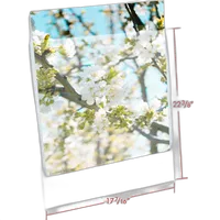 Print File 3.2-Mil BOPP Presentation Pocket (17x22, 100-Pack) 1