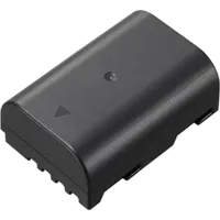 Panasonic DMW-BLF19 Battery