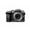 Panasonic LUMIX G7 Mirrorless Digital Camera with 14-42mm Lens Silver