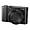 Panasonic Lumix DMC-ZS100 Digital Camera -Black