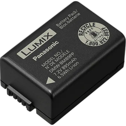 Panasonic DMW-BMB9 Lithium-Ion Battery (7.2V, 895mAh)