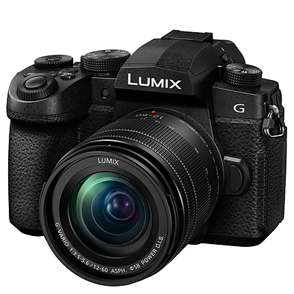 Panasonic LUMIX G95 Hybrid Mirrorless Digital Camera with 12-60mm Lens