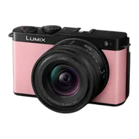 Panasonic LUMIX S9 Mirrorless Camera with 18-40mm Lens - Pink 0