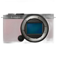 Panasonic LUMIX S9 Mirrorless Camera with 18-40mm Lens - Pink 5