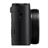 Panasonic LUMIX ZS300 Point and Shoot Camera - Black 9