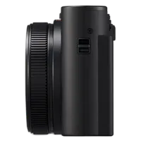 Panasonic LUMIX ZS300 Point and Shoot Camera - Black 11