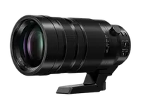 Panasonic Leica DG Vario-Elmar 100-400mm f/4-6.3 ASPH. POWER O.I.S. Lens 2