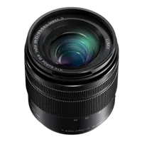 Panasonic Lumix G Vario 12-60mm f/3.5-5.6 ASPH. POWER O.I.S. Lens 1