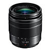 Panasonic LUMIX 12-60mm f/3.5-5.6 Lens for Mirrorless Micro 4/3 Cameras