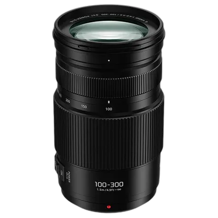 Panasonic Lumix G Vario 100-300mm f/4-5.6 II POWER O.I.S. Lens