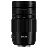 Panasonic Lumix G Vario 100-300mm f/4-5.6 II POWER O.I.S. Lens 2
