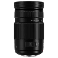 Panasonic Lumix G Vario 100-300mm f/4-5.6 II POWER O.I.S. Lens 3