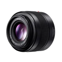 Panasonic LUMIX 25mm f/1.4 Leica Summilux II Lens 0
