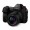 Panasonic LUMIX S 24mm f/1.8 Lens