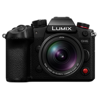 Panasonic LUMIX 12-35mm f/2.8 LEICA Vario-Elmarit DG Power O.I.S. Lens