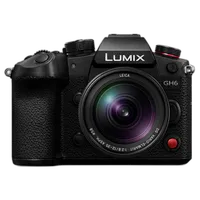 Panasonic LUMIX 12-35mm f/2.8 LEICA Vario-Elmarit DG Power O.I.S. Lens 5