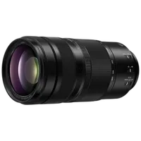 Panasonic LUMIX S 100-500mm F5-7.1 0