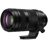 Panasonic LUMIX S 100-500mm F5-7.1 1