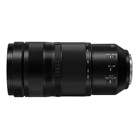 Panasonic LUMIX S 100-500mm F5-7.1 3