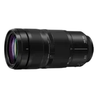 Panasonic LUMIX S 100-500mm F5-7.1 4