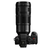 Panasonic LUMIX S 100-500mm F5-7.1 6