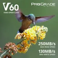 ProGrade Digital 128GB SDXC UHS-II V60 Memory Card 1