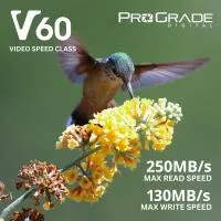 ProGrade Digital 256GB SDXC UHS-II V60 Memory Card 5
