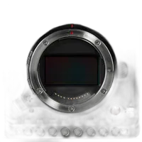 RED DIGITAL CINEMA V-RAPTOR 8K VV + 6K S35 Dual-Format DSMC3 Camera (Canon R 1