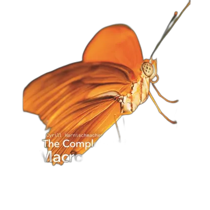 Complete Guide Macro Close-Up Photo by Cyrill Harnischmacher