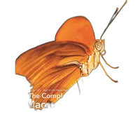 Complete Guide Macro Close-Up Photo by Cyrill Harnischmacher 0