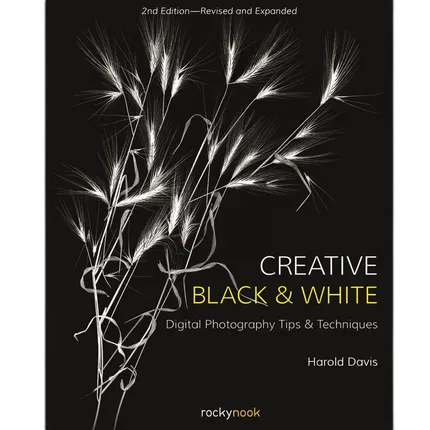 Creative Black and White Photography 2nd Ed by Harold Davis