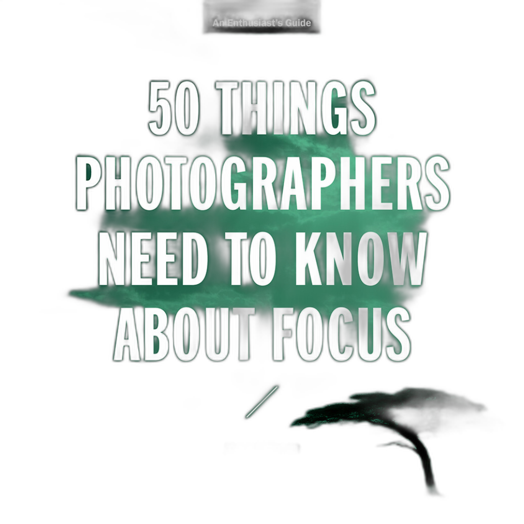 Smartphone to Camera: Practical Tips for New Photographers Making the Jump