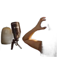 Rode NT-USB+ Professional USB Microphone 10