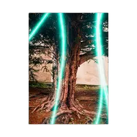 Revolog Lazer Iso 200 35mm x 36exp Special Effect Color Film 1